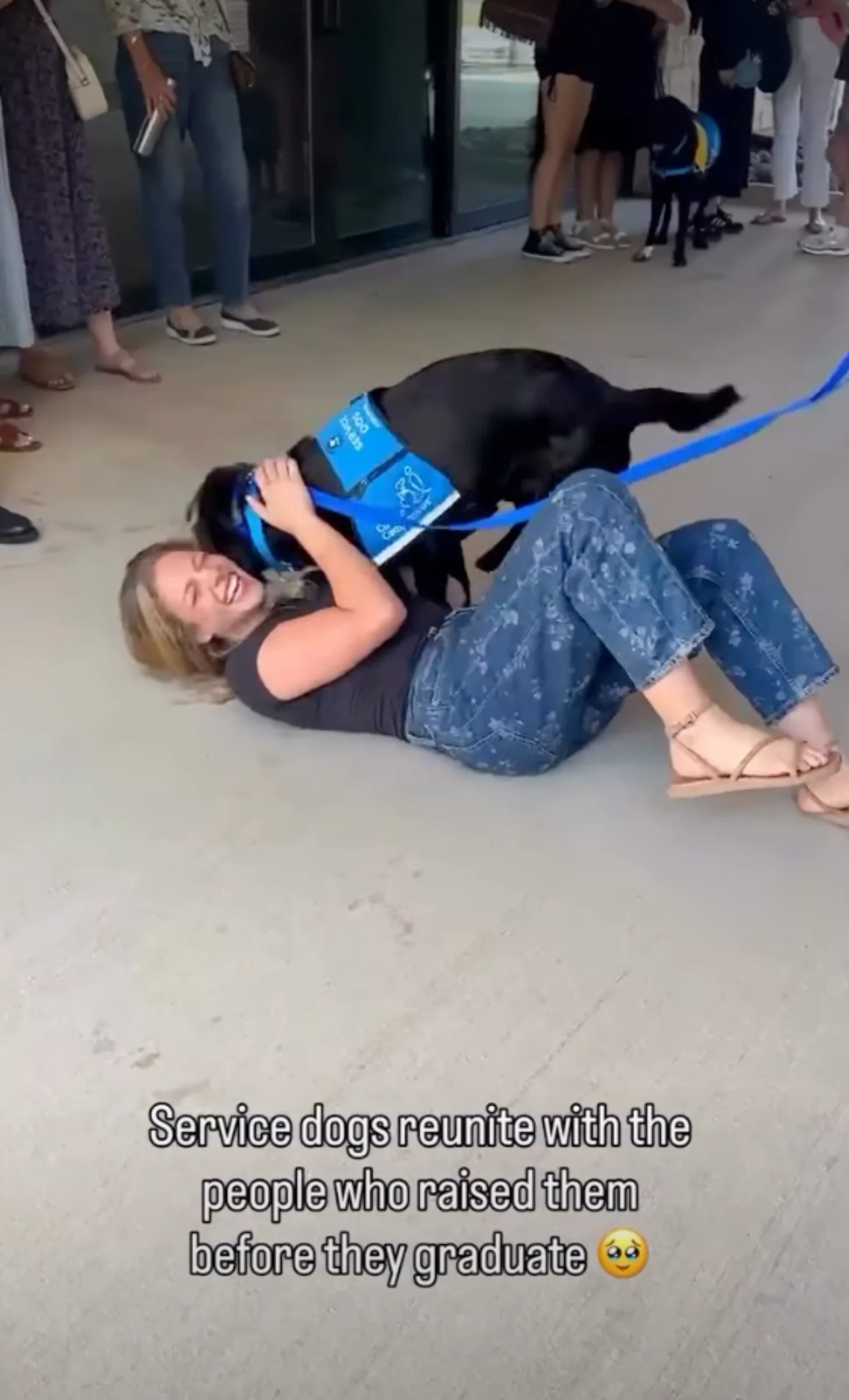 A woman lies on the ground laughing while petting a black dog wearing a blue service vest on a leash, surrounded by onlookers in an indoor space.