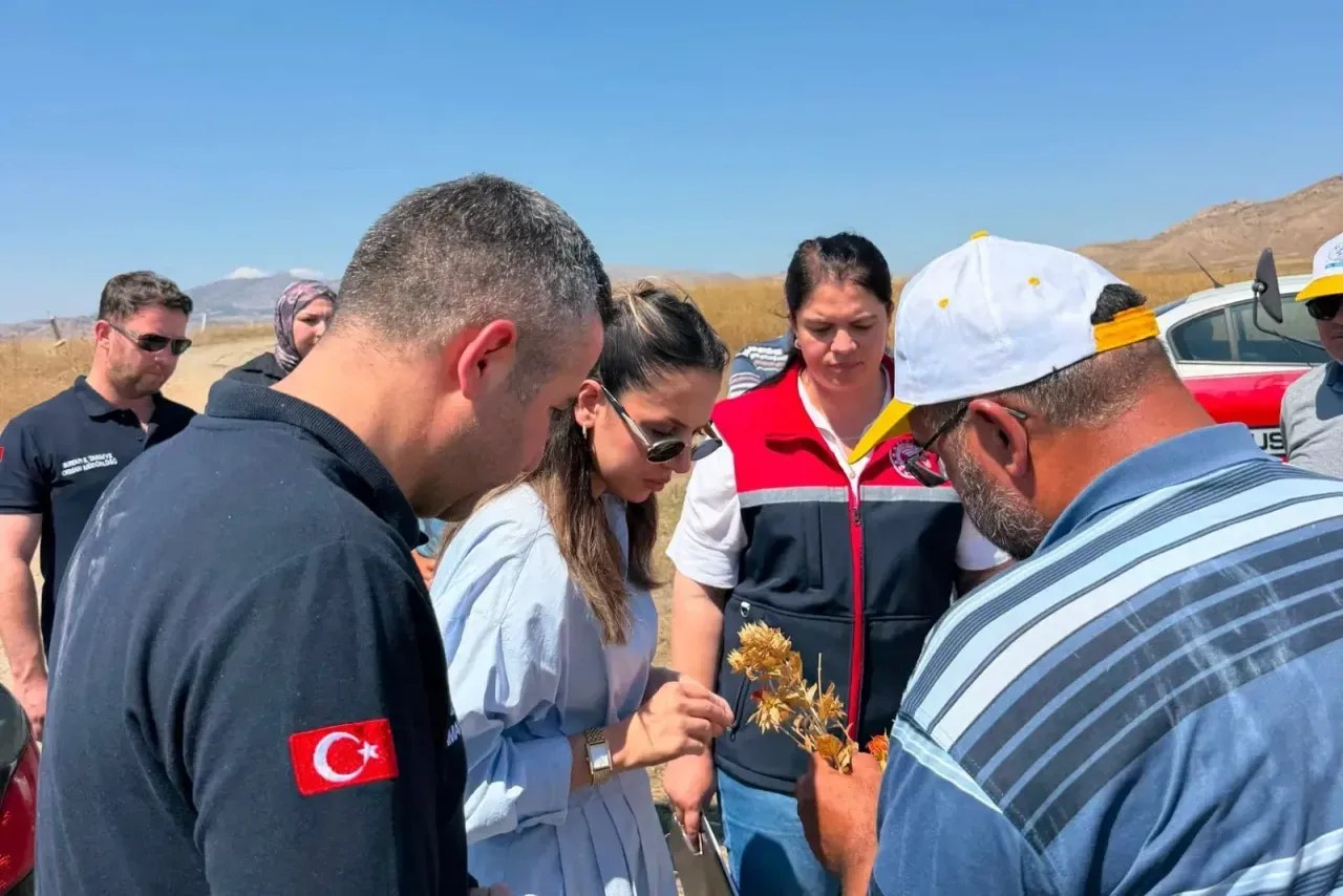 Burdur’da çiftçinin yeni gözdesi olabilir: Hasatta yüz güldüren sonuç!