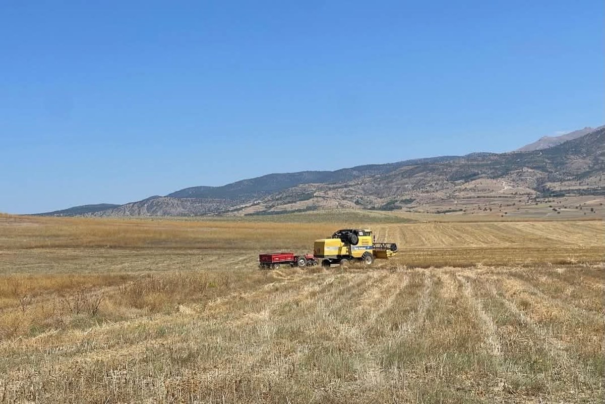 Burdur’da çiftçinin yeni gözdesi olabilir: Hasatta yüz güldüren sonuç!