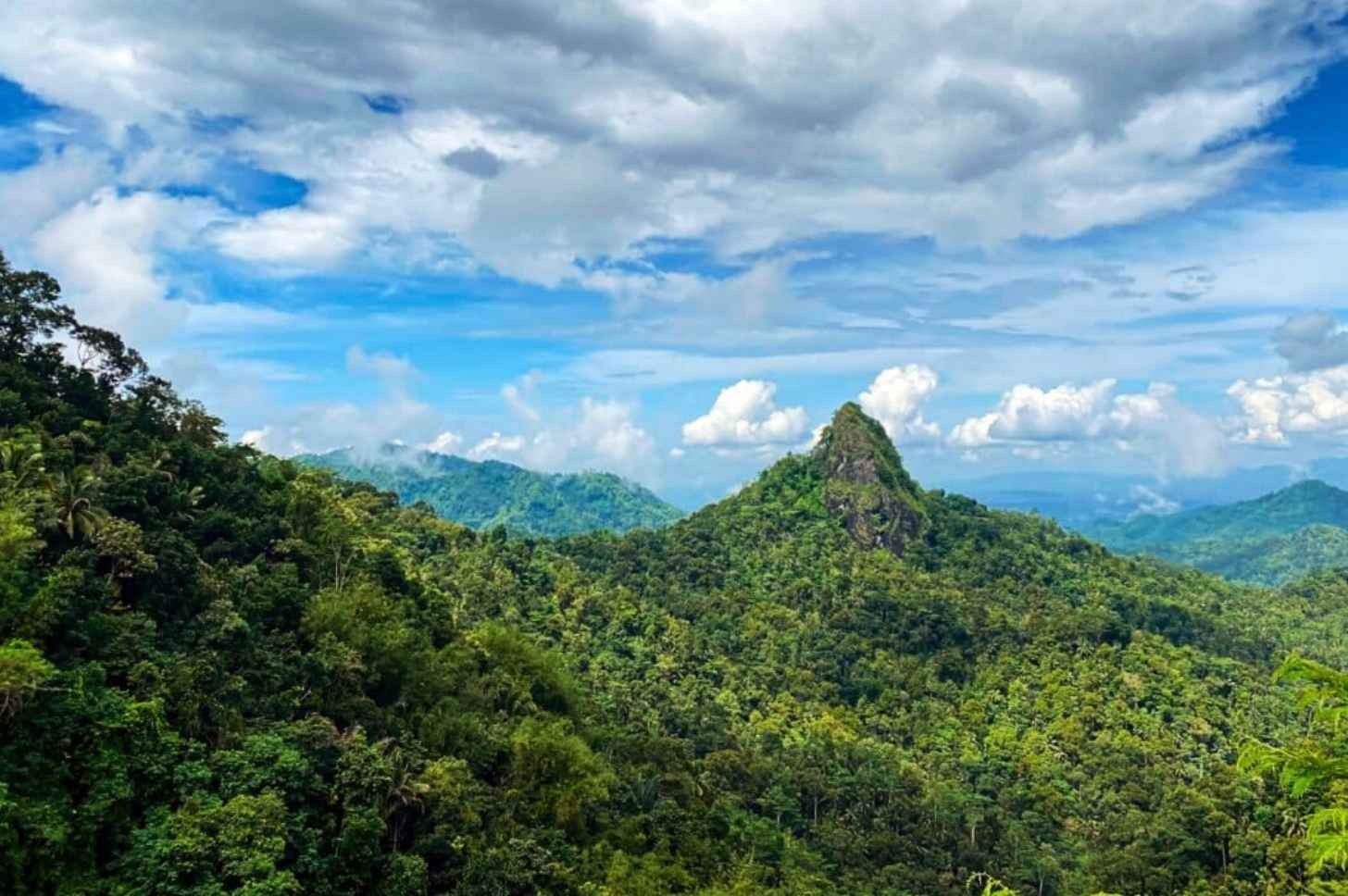 The Menoreh Hills landscape serves as a habitat for hundreds of bird species, including critically endangered ones like the Javan blue-banded kingfisher. Courtesy of Kanopi Indonesia Foundation.