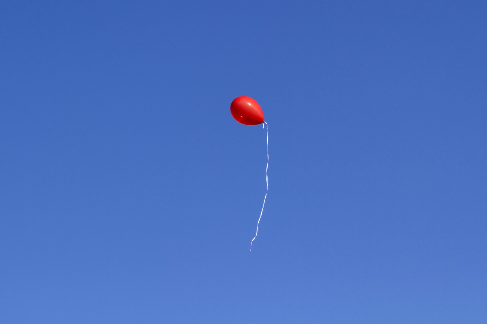 Meet the Bioloon: the biodegradable balloon aiming for shelves by 2028