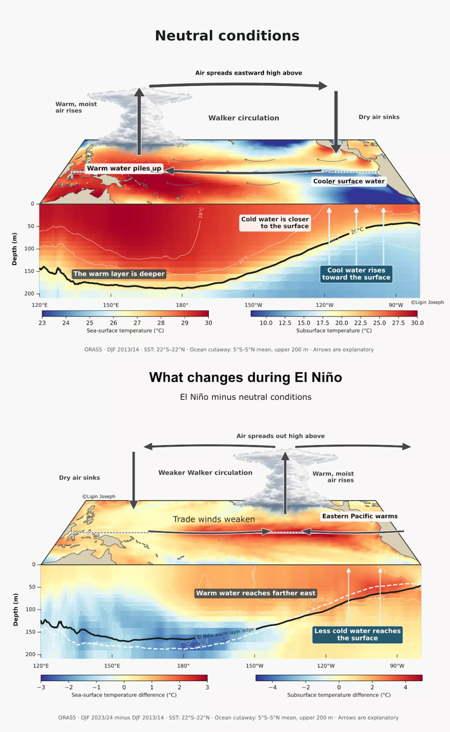 Diagram of Pacific normally and in El Niño