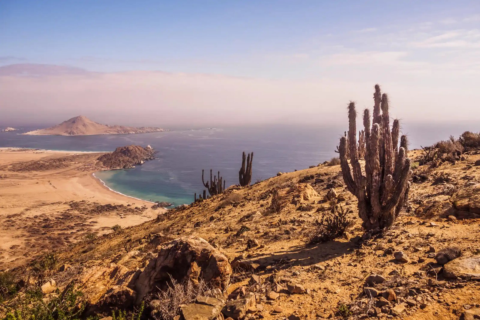 Desert coastline with cactus