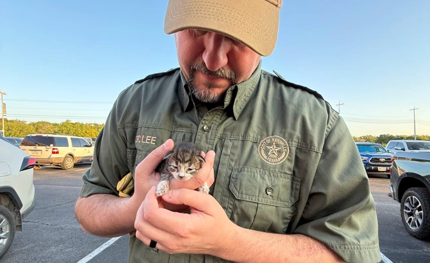 A uniformed official in a tan cap and olive uniform holds a small striped kitten in his hands while looking down at it in a parking lot.