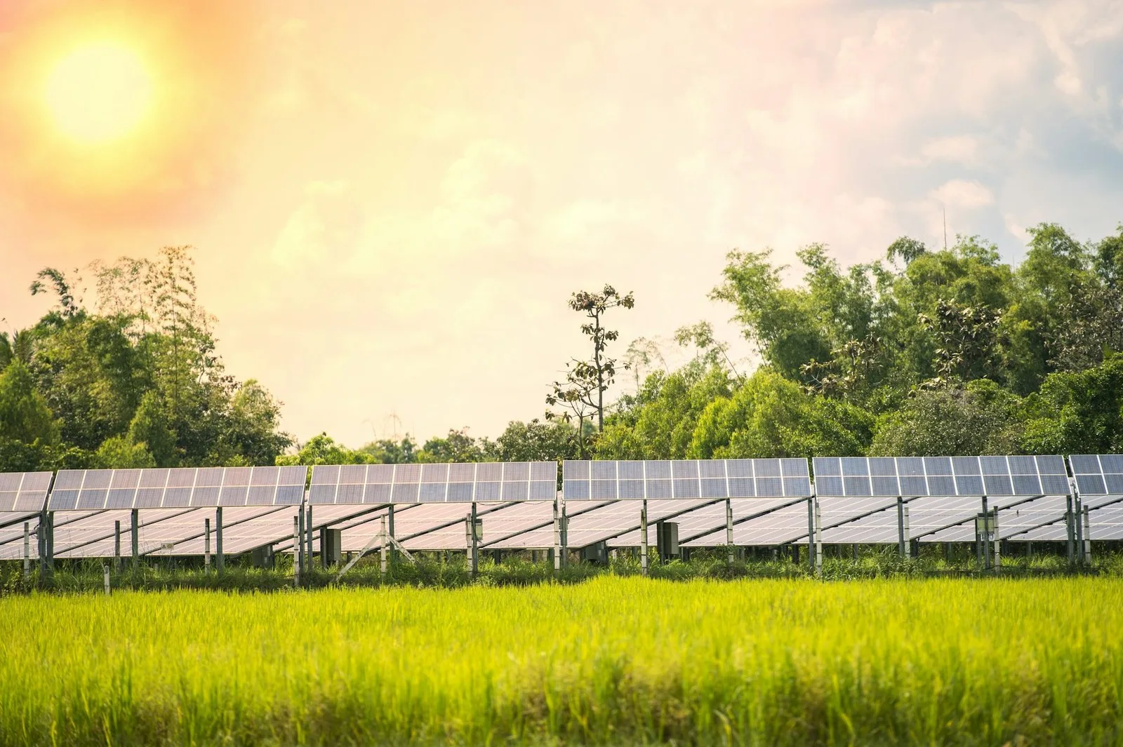 Renewable energy formed a higher proportion of energy generated in the UK from April 2025 to March 2026 than any other year on record. Rabbitmindphoto/Shutterstock
