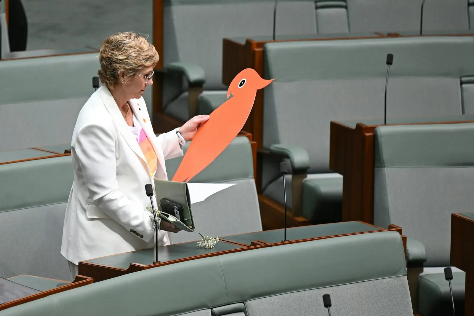 Independent member for Warringah Zali Steggall places a cutout cockatoo on the desk of Independent member for Indi Helen Haines in the House of Representatives at Parliament House. Lukas Coch/AAP