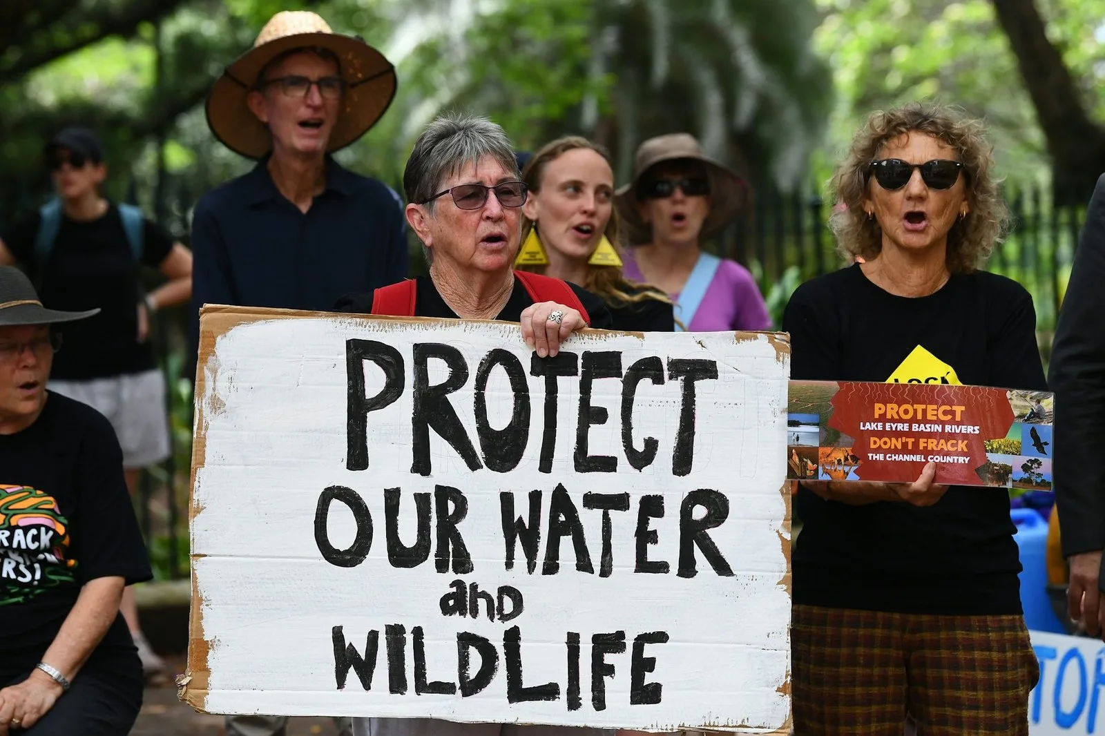Protesters gather outside Parliament House in Brisbane holding signs advocating for environmental action. Jono Searle/AAP