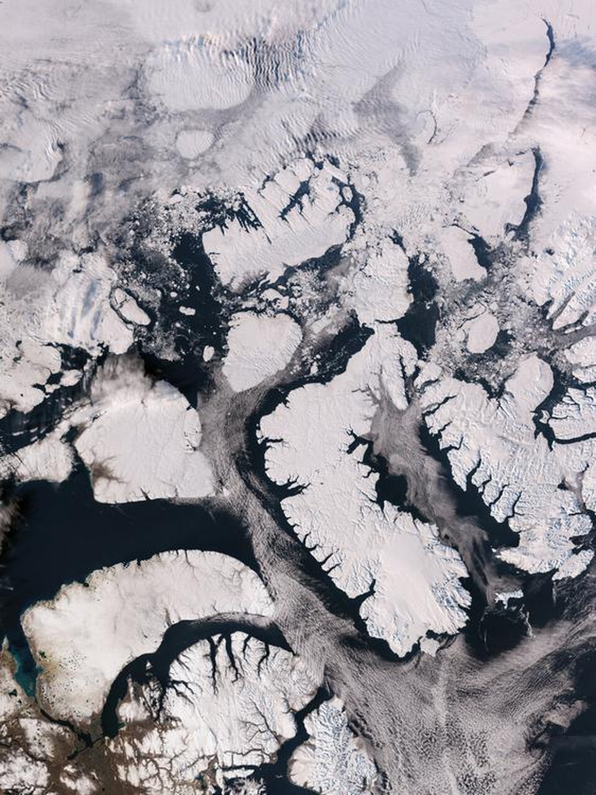Copernicus Sentinel 3C'den Kanada Kuzey Buzulları – ©ESA (yayınlandı)