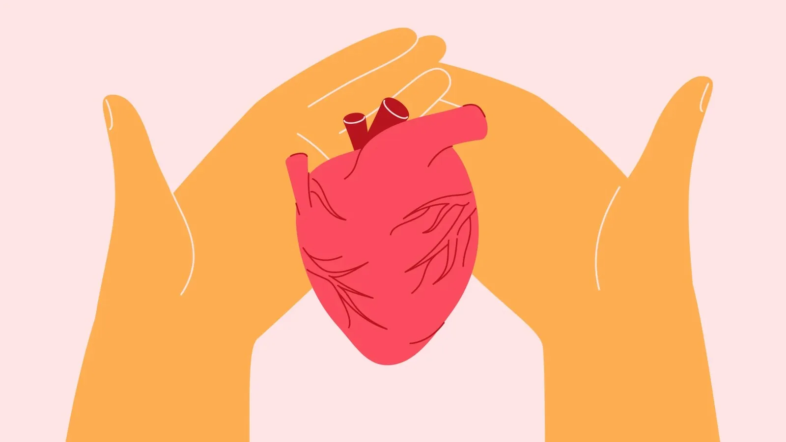 Two hands embrace a heart for donation