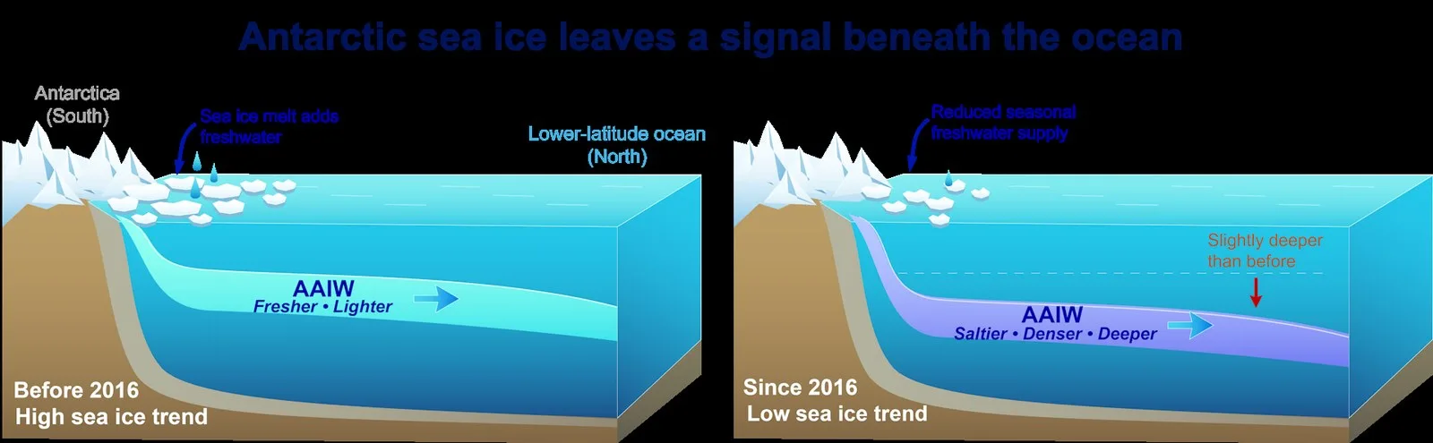 Since 2016, Antarctic intermediate water has been becoming saltier, denser, and deeper. Kaushik Mishra, CC BY