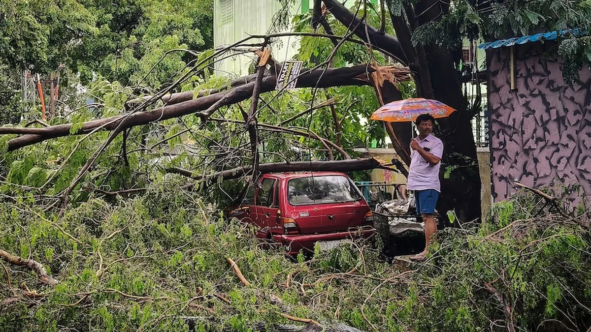 A man stands next to a vehicle damaged by a fallen tree in a cyclone. 