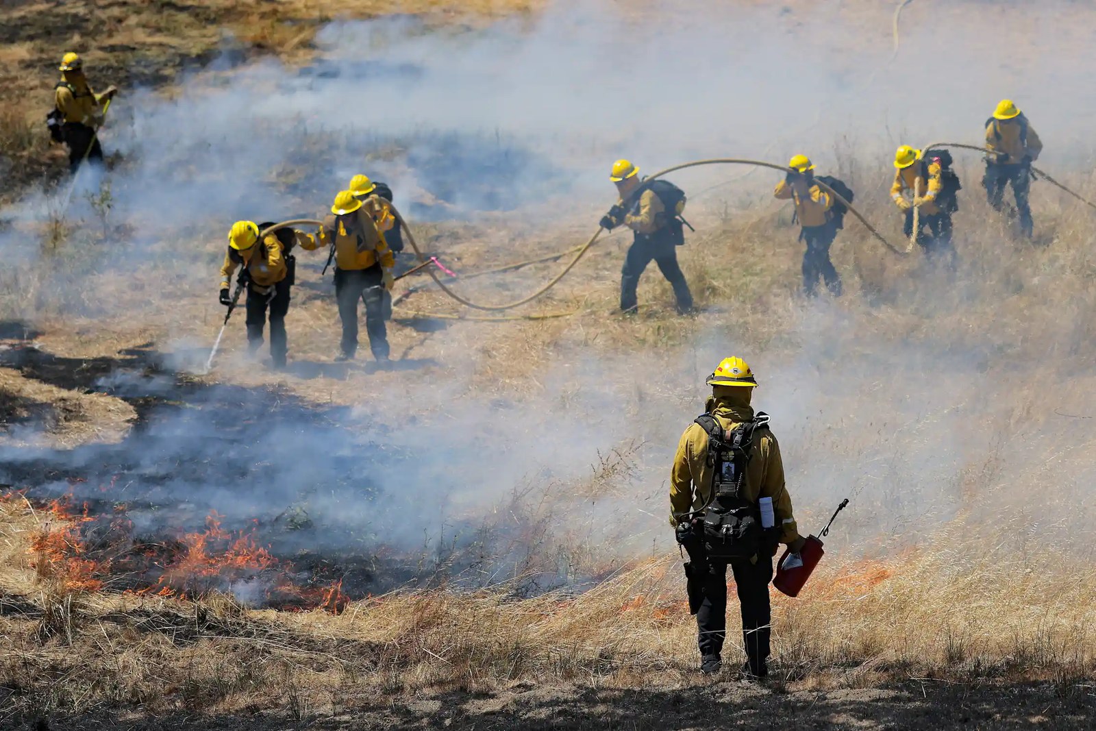A row of firefighters with a hose and a line of fire across grasslands.