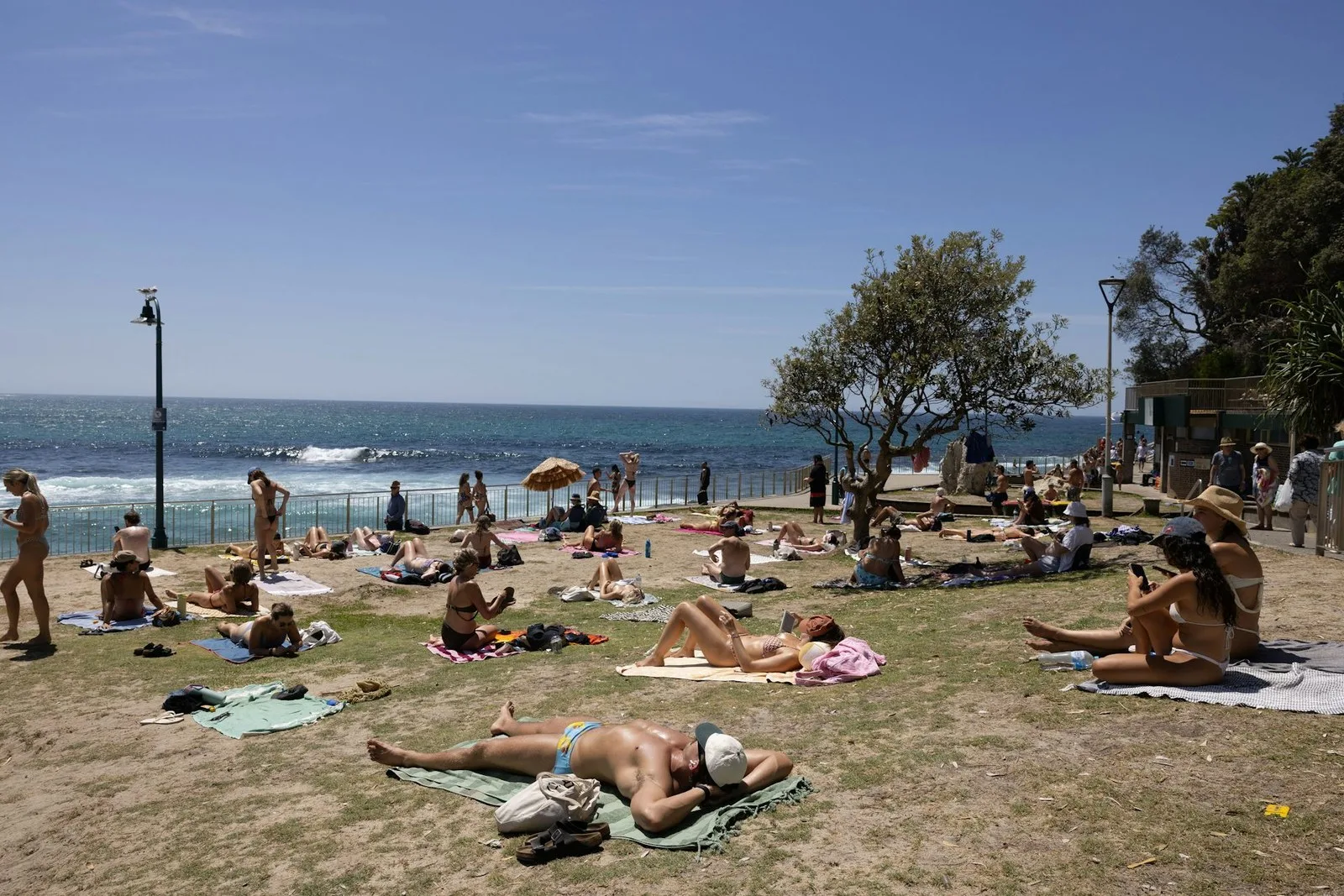 People sun bake during a heatwave at Bronte Beach in Sydney in early 2026. Jessica Hromas/AAP