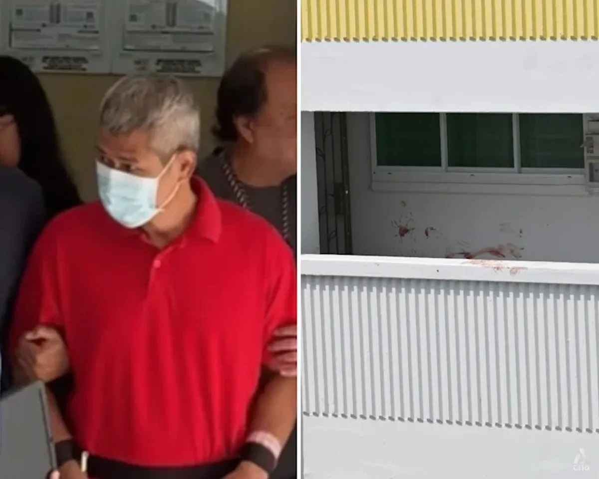 Man who slashed landlord to death had taken almost 100 pills, was possibly of unsound mind Man who slashed landlord to death had taken almost 100 pills, was possibly of unsound mind
