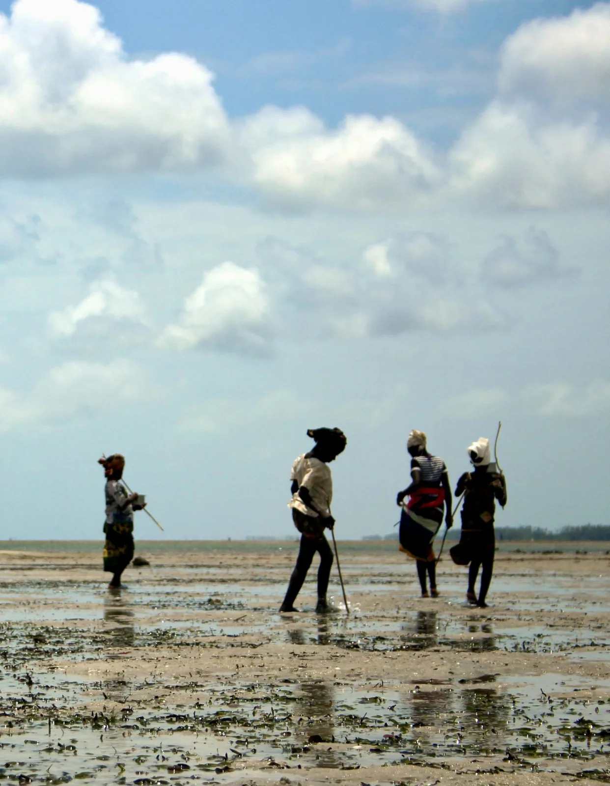 Women hunt in seagrass for invertebrates at low tide in Mozambique. Benjamin Jones/Project Seagrass, CC BY