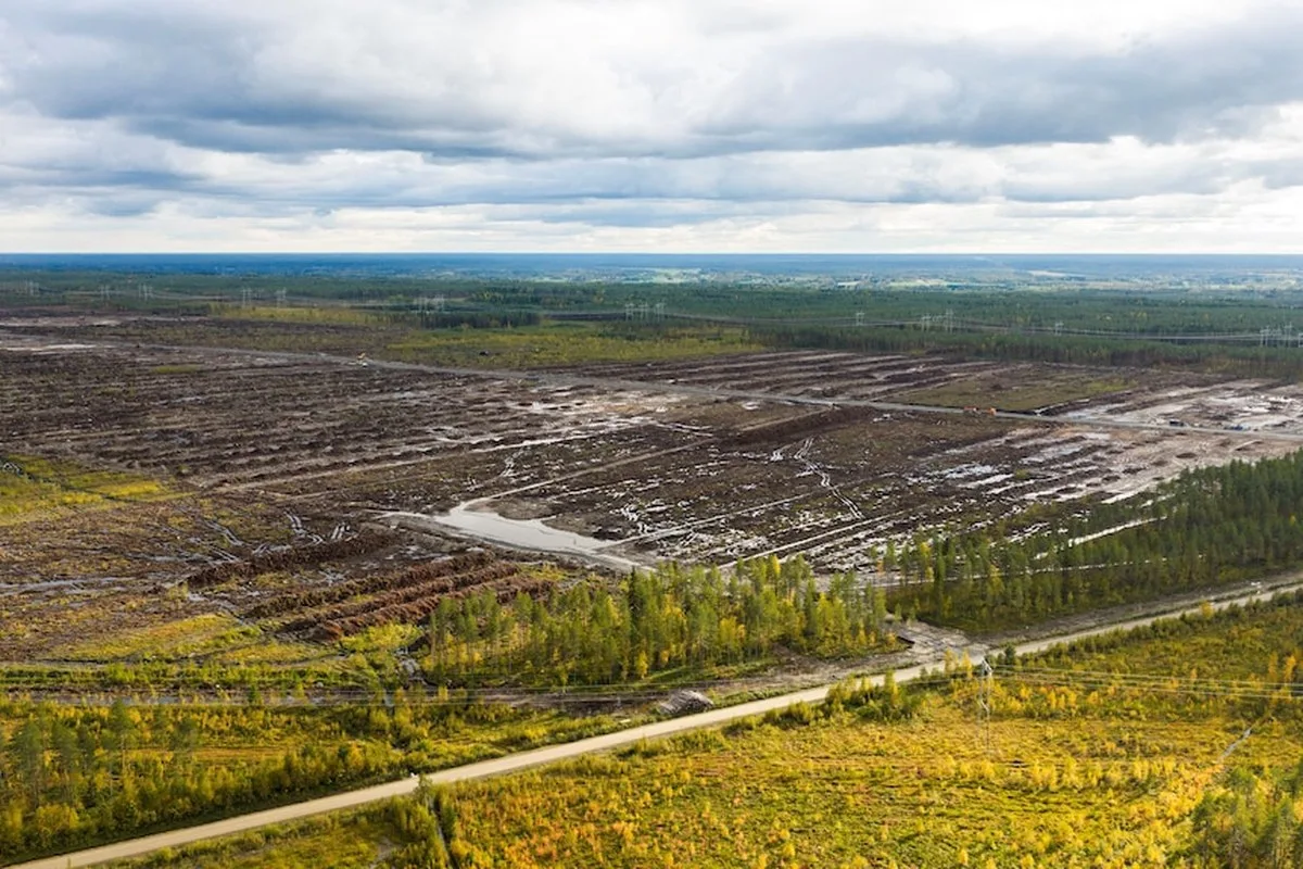 An aerial view shows a large, clear-cut plot of land with mud and water through it, a gravel road runs in front.