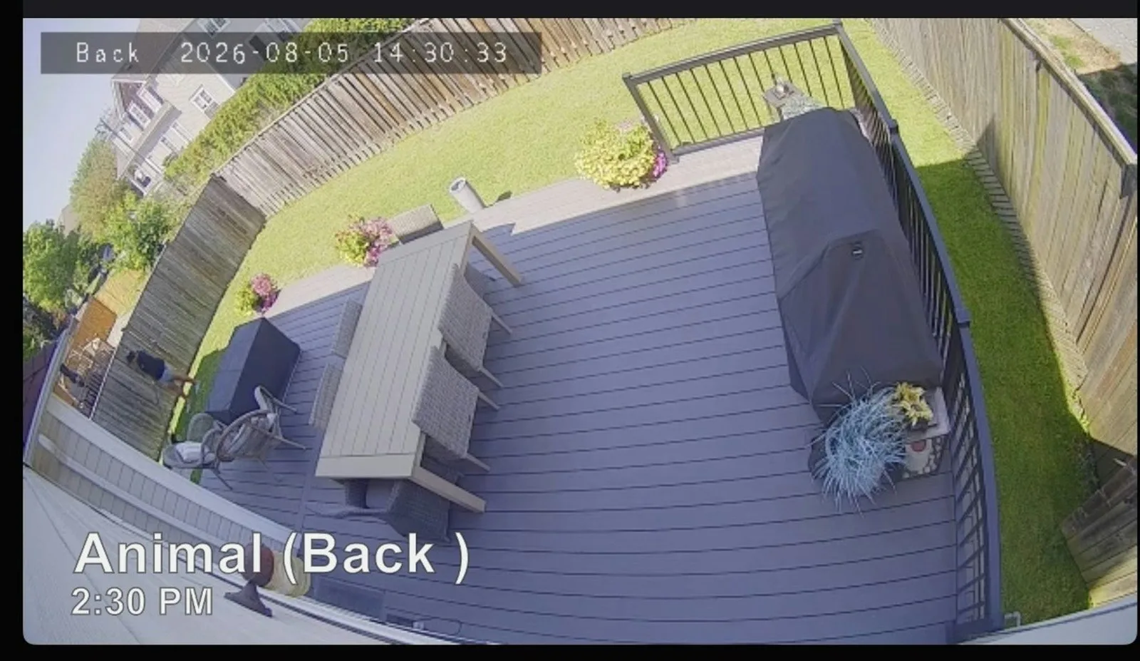 My own security system flagged me, a Black woman, as an animal