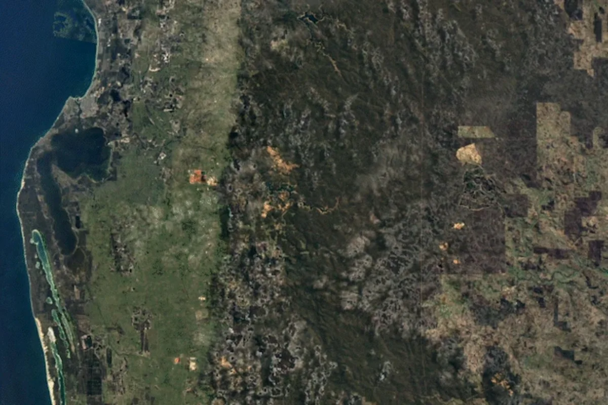 Satellite imagery over time showing mining areas growing within green forest.