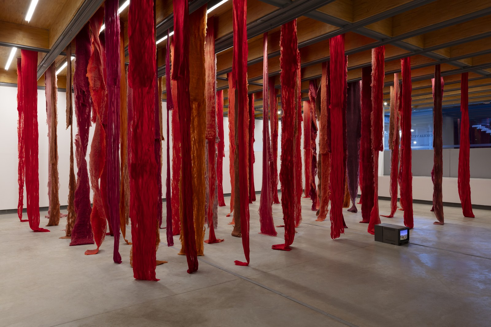 Cecilia Vicuña'nın ekofeminist vizyonu Londra'da: Whitechapel'de "Living Threads