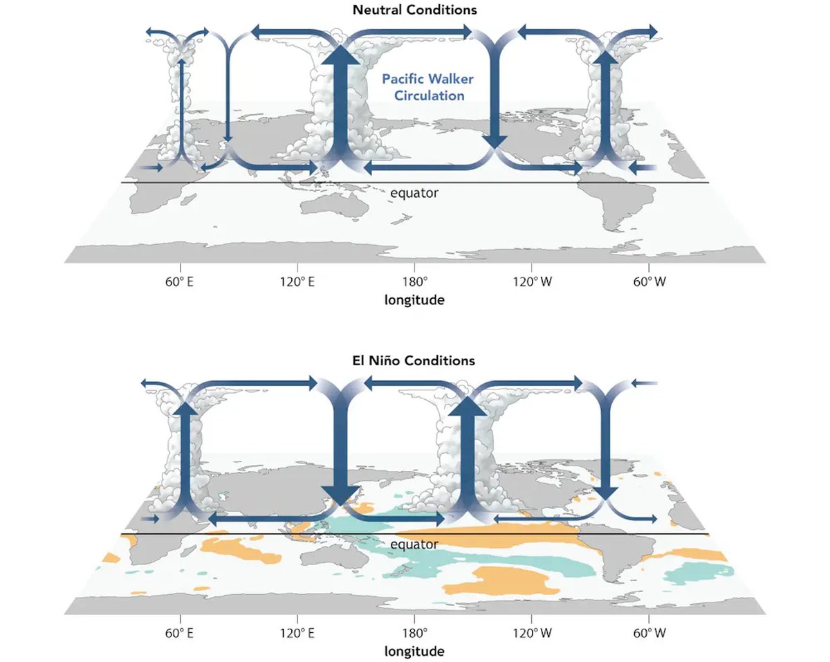 Two illustrations show how El Niño shorts the air circulation to create conditions less conducive to Atlantic hurricanes.
