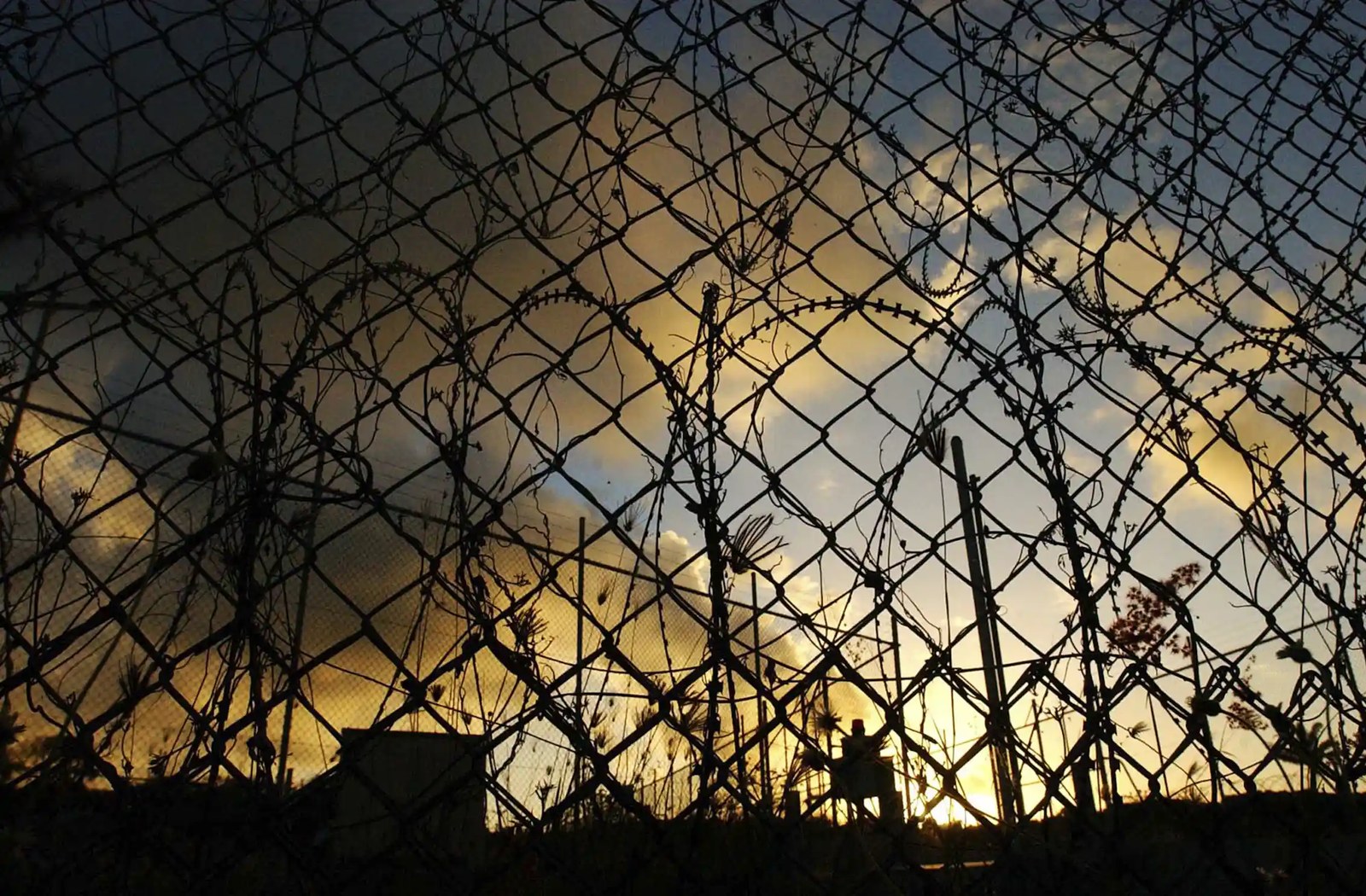 Razor wire around a detention centre
