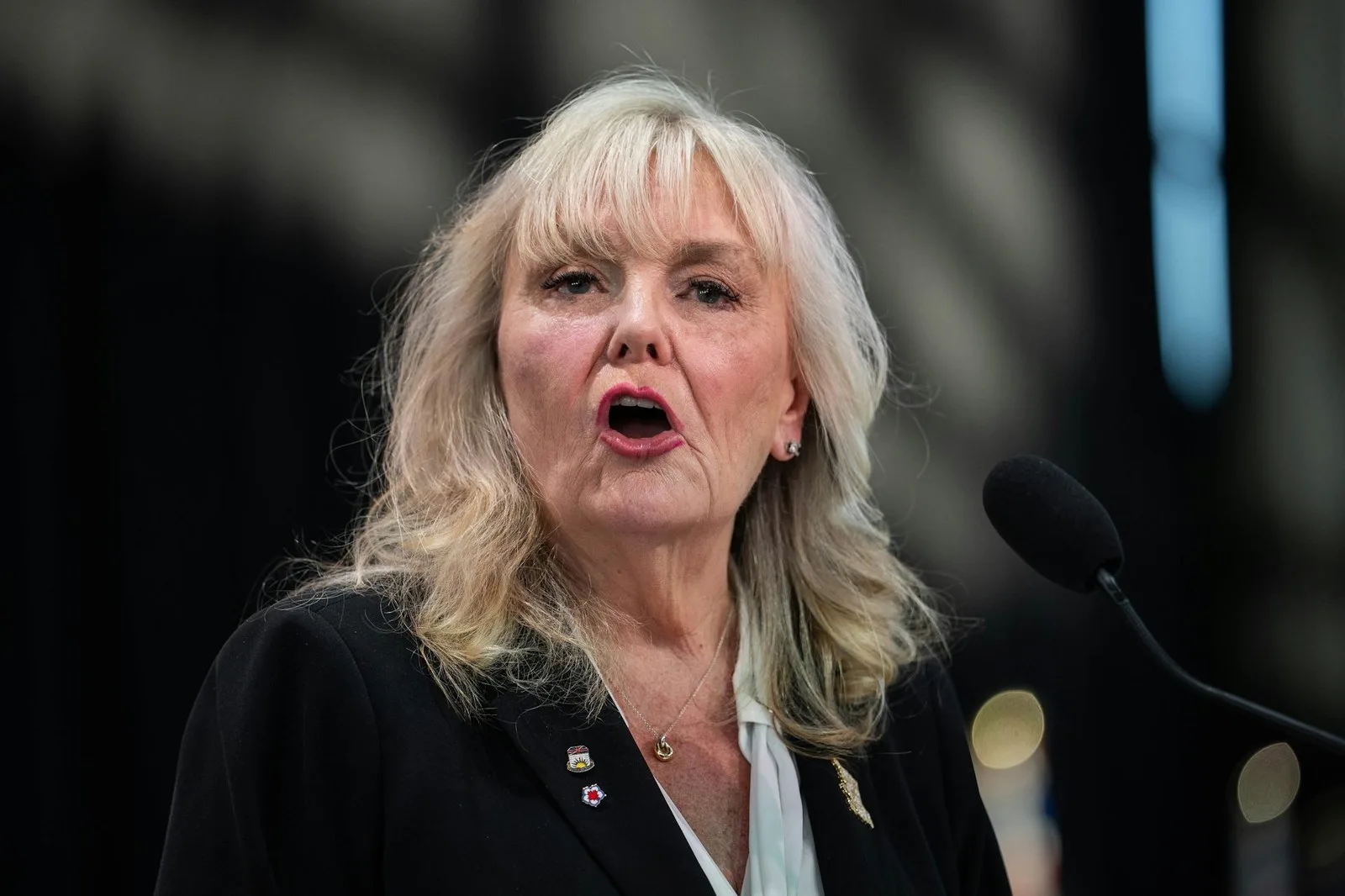 Kerry-Lynne Findlay speaks during leadership election night in Vancouver on May 30, 2026. THE CANADIAN PRESS/Ethan Cairns