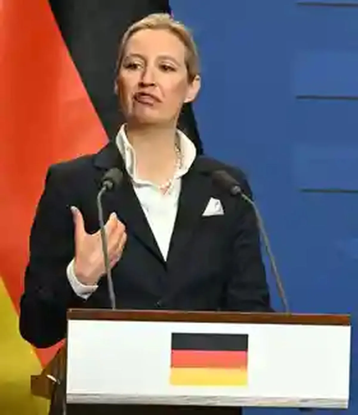 Alice Weidel.