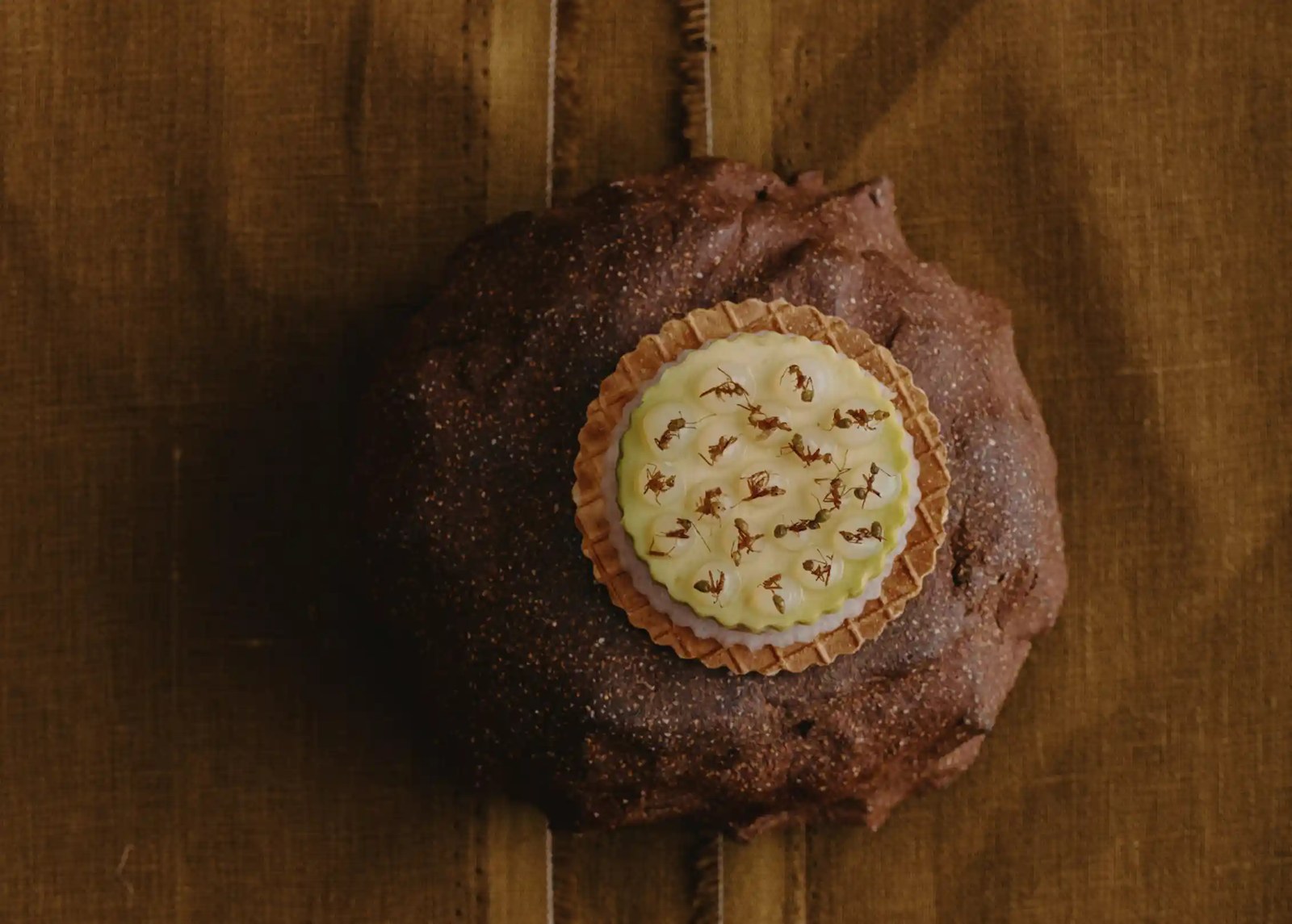 A bread role with a Tarte on top, featuring artfully arranged green ants.