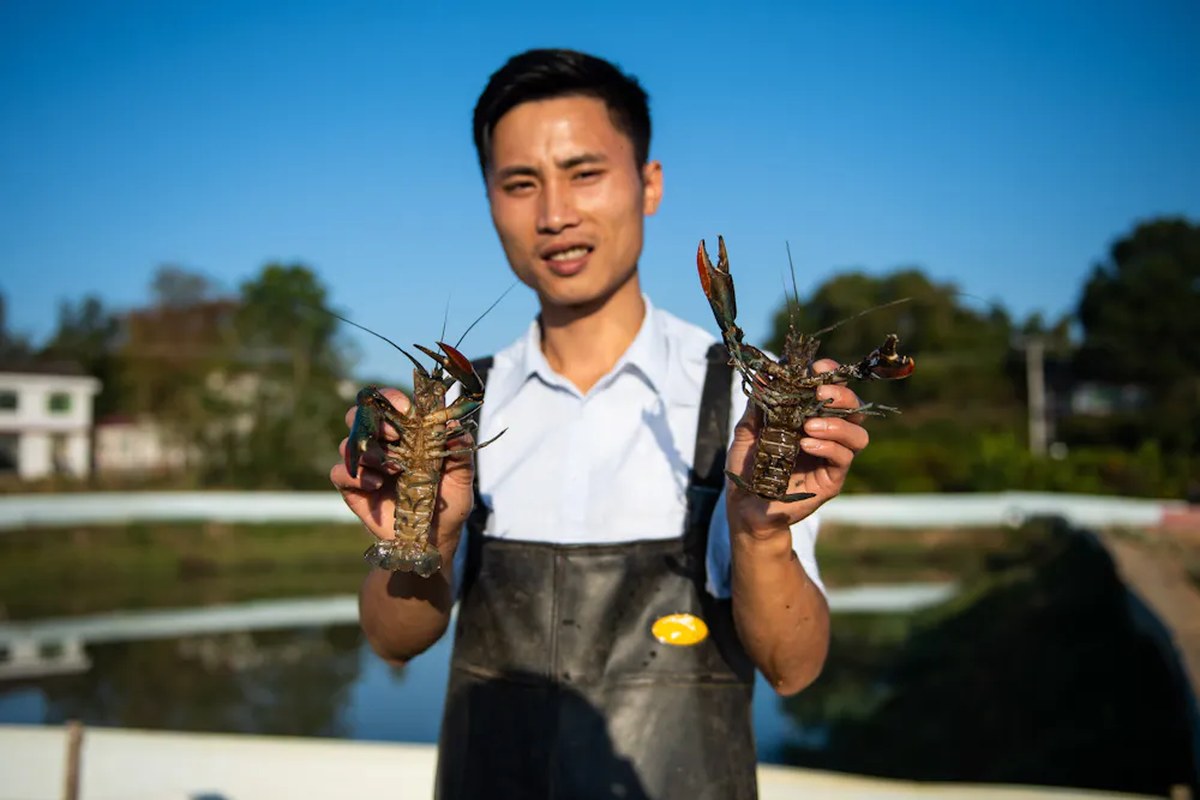 man holds up two crayfish, aquaculture pond behind him.