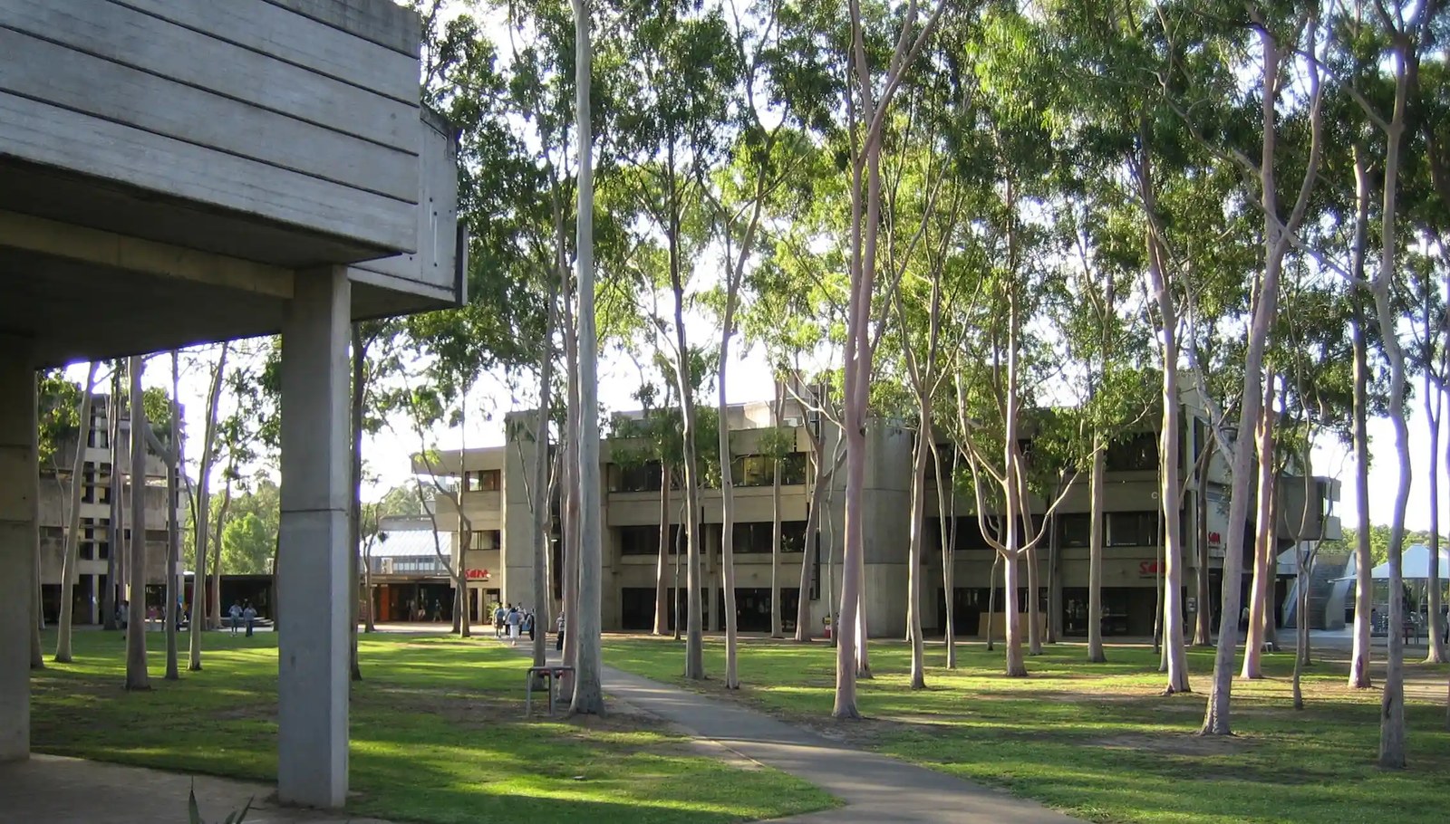 A green open space with gumtrees, surrounded by concrete buildings.