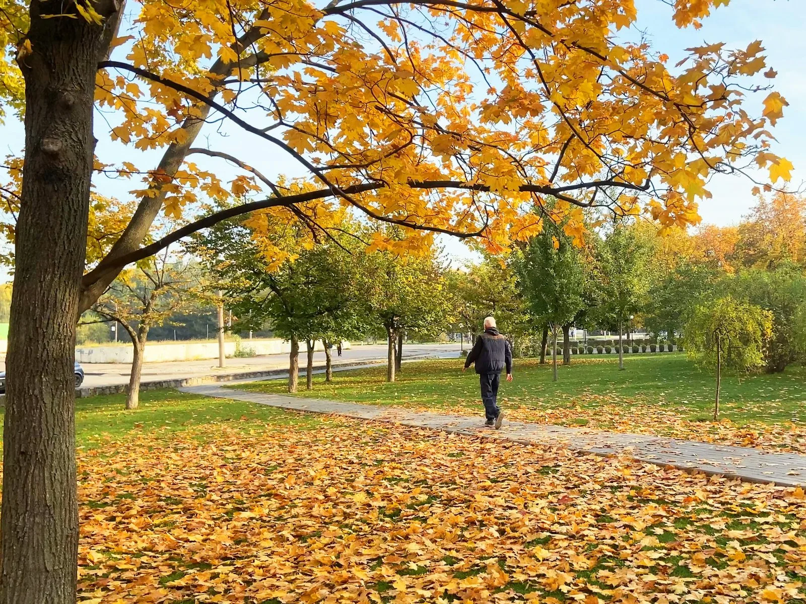 Daylight appears to be helpful in adjusting your body clock. LanKS/ Shutterstock