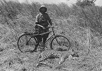 Leopar avı