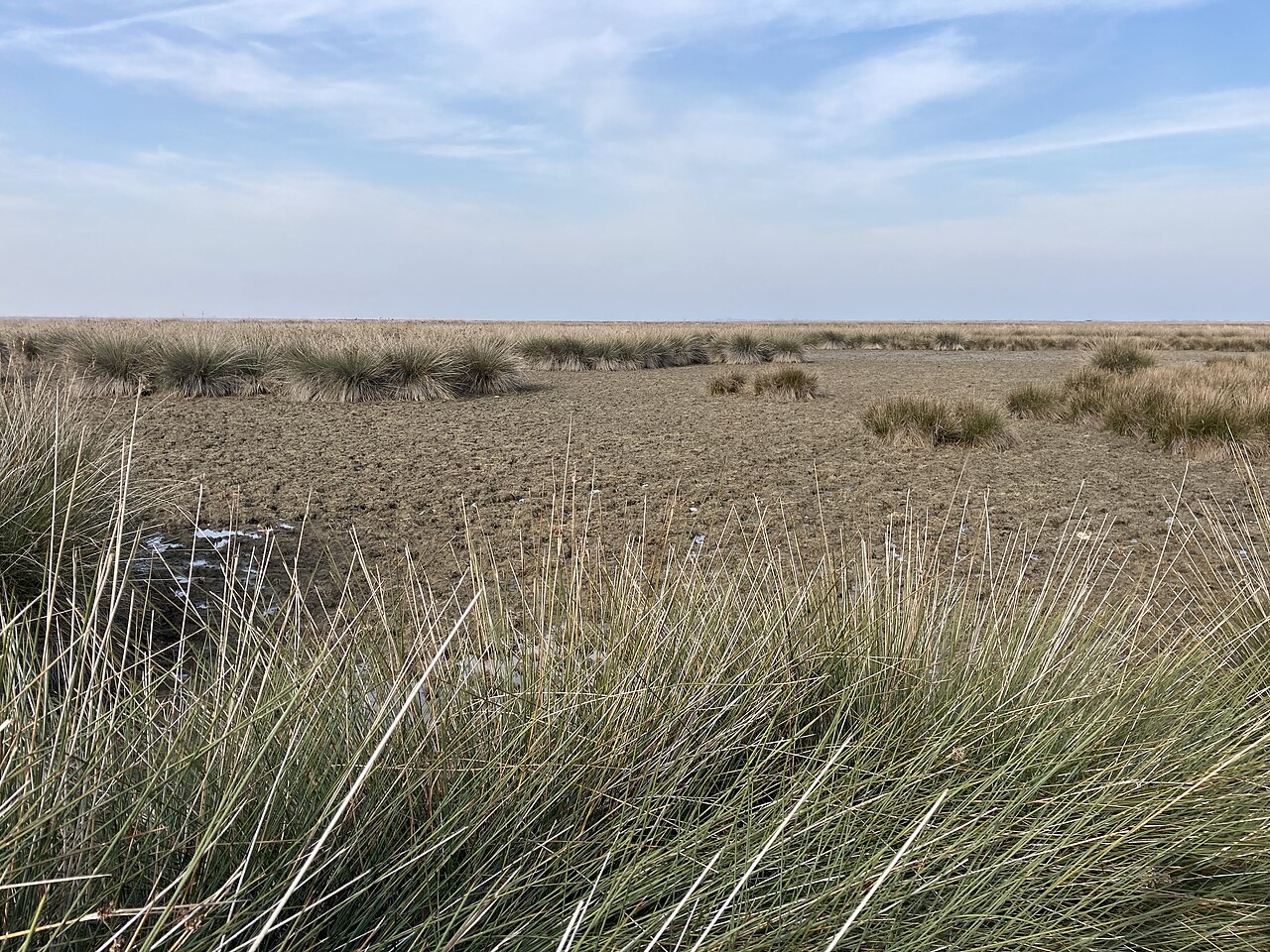 Kızılırmak Delta 2021 kuraklığı
