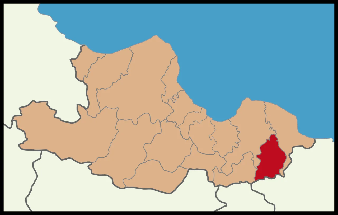 Salıpazarı District Location in Samsun Province