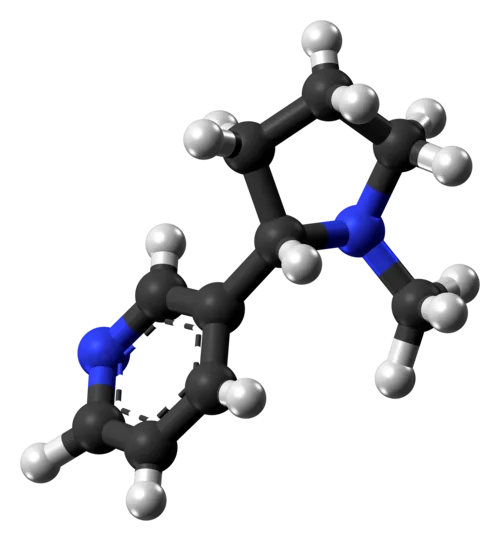 Nicotine molecule ball from xtal