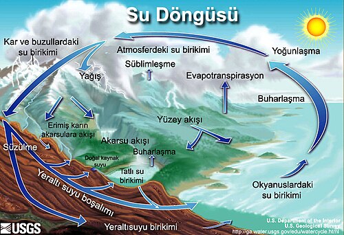 Buharlaşma ve suyun yoğunlaşması yağışların en büyük nedenlerindendir